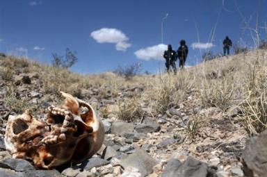 Torture common in Mexico