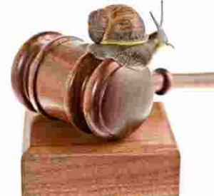 Mexican justice is slow, Mexican Legal System Reform